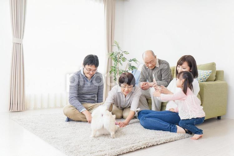 家族で犬と遊ぶ幸せな三世代ファミリー 楽しい,子育て,おじいちゃんの写真素材