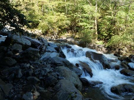 大門沢登山道 沢 大門沢登山道 沢の写真