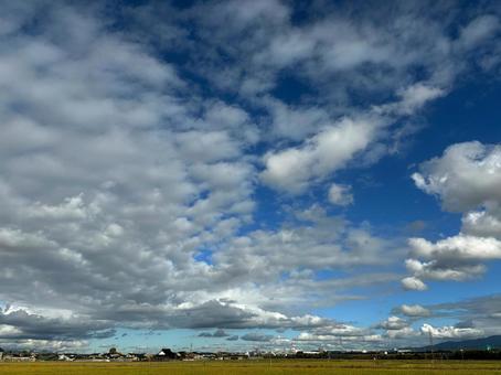 くもり空、青空、雲、草 くもり空、青空、雲、草の写真