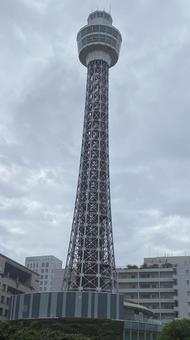 マリンタワー マリンタワーの写真