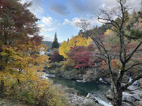 紅葉と川 奥三河 紅葉と川 奥三河の写真