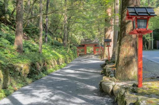 京都 貴船神社 奥宮 神門 京都 貴船神社 奥宮 神門 貴船神社,貴船,神社の写真素材