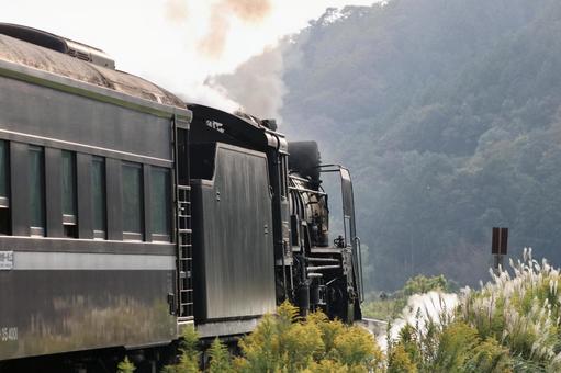 D51の後ろ姿 d51,デゴイチ,蒸気機関車の写真素材