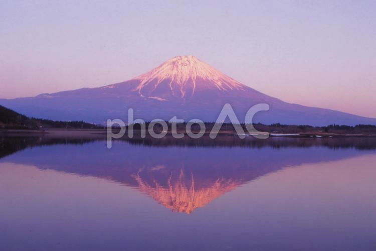 精進湖の逆さ富士 富士山,精進湖,逆さ富士の写真素材