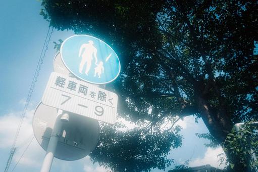 幻想的な道路標識と木々 幻想的な道路標識と木々の写真