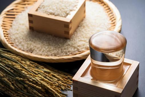 日本酒、米、稲穂 日本酒,酒,盃の写真素材