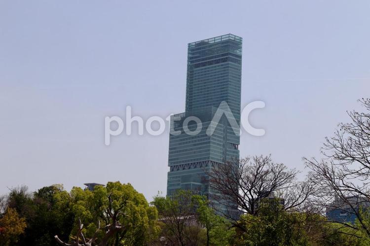 天王寺動物園から見るあべのハルカス あべのハルカス,高層ビル,大阪市の写真素材