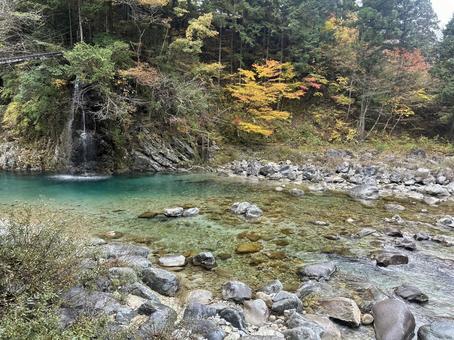 森林 渓谷 透き通る清流 森林 渓谷 透き通る清流の写真