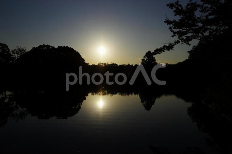池に映える夕日 夕景,たそがれ,風景の写真素材
