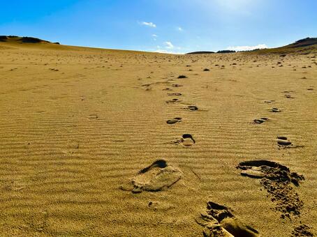 鳥取砂丘 鳥取,鳥取砂丘,鳥取県の写真素材