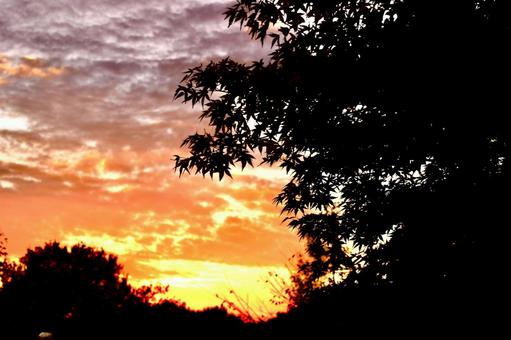 夕焼けの写真