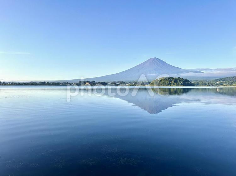 夏の河口湖と富士山 富士山,河口湖,湖の写真素材