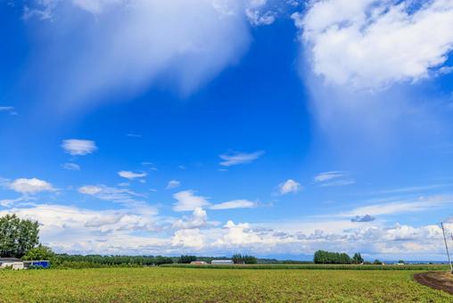 青空と雲 青空と雲 青空,雲,白い雲の写真素材