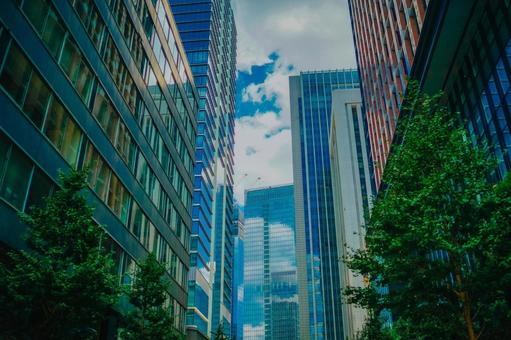 緑と高層ビル ビル,高層ビル,青空の写真素材