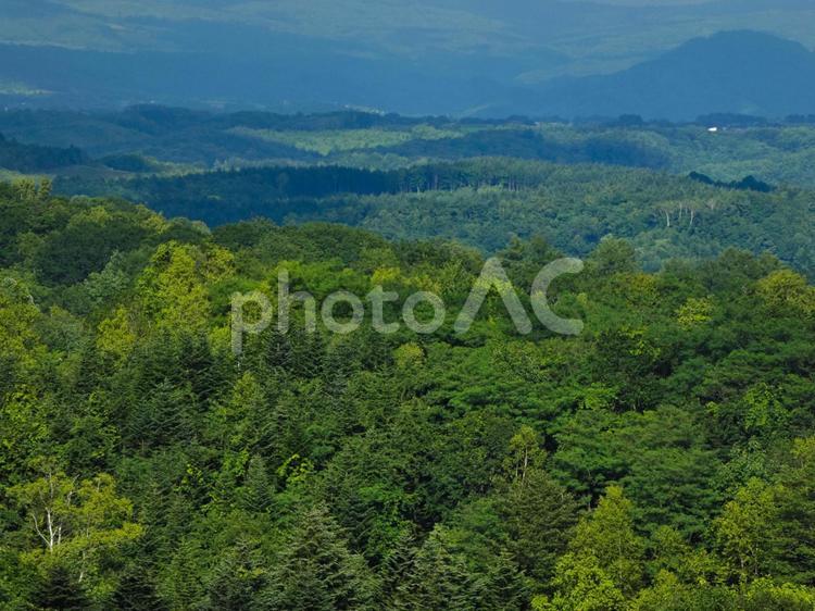 森と山の風景 山,森,自然の写真素材