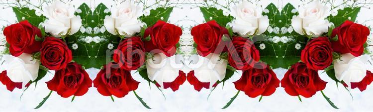 赤と白のバラほか花柄イメージ素材 花,赤,バラの写真素材