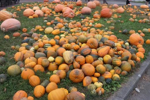 ハロウィン ハロウィンの写真