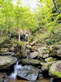 美しい渓谷のある山道 山道,森林,渓谷の写真素材