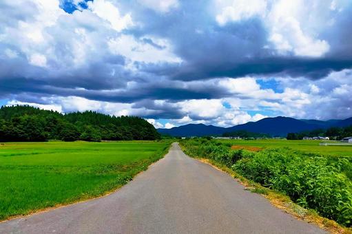2025年8月の里山2 2025年8月の里山2 農道,一本道,田んぼの写真素材
