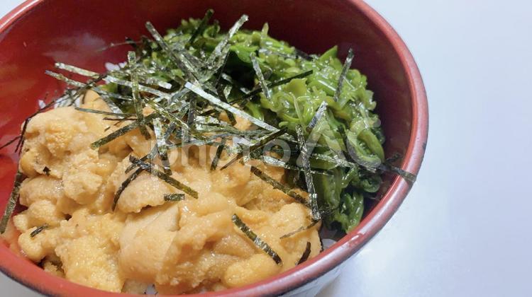 生ウニ丼　海鮮丼　雲丹　料理　イメージ3 ウニ,生ウニ,雲丹の写真素材