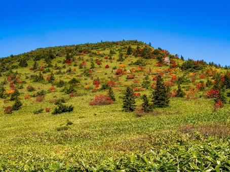 秋の一切経山 秋の一切経山の写真