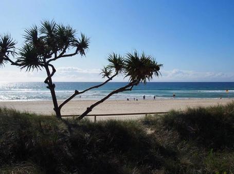 サーファーズパラダイスビーチ 海,ビーチ,オーストラリアの写真素材