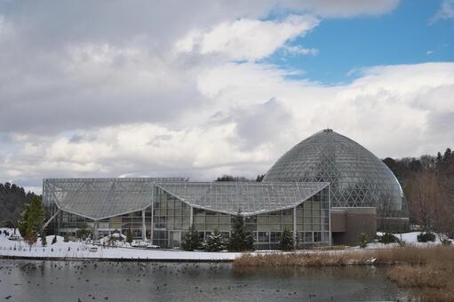冬の池と建物 冬,雪,冬空の写真素材