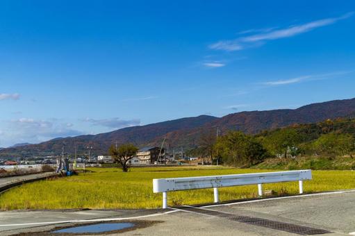 山の紅葉 山の紅葉の写真