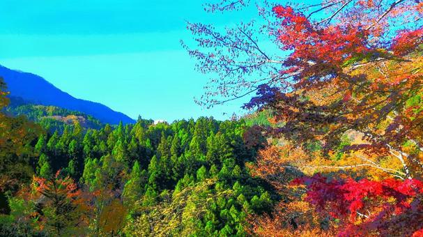 山 山の写真