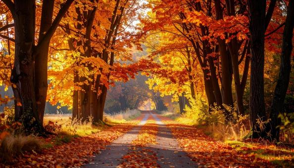 秋のイメージの風景写真の写真