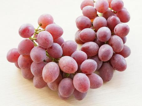 味覚の秋 房つきぶどう サニールージュ 味覚の秋 房つきぶどう サニールージュ ぶどう,旬,葡萄の写真素材