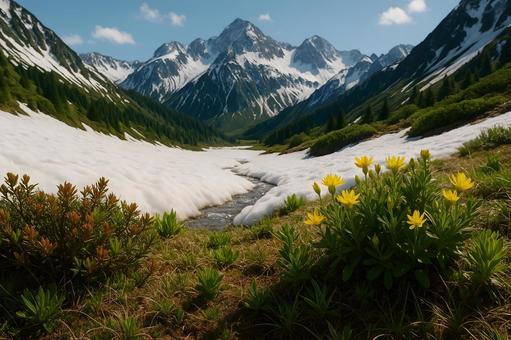 高山の雪解けと花畑 高山の雪解けと花畑の写真