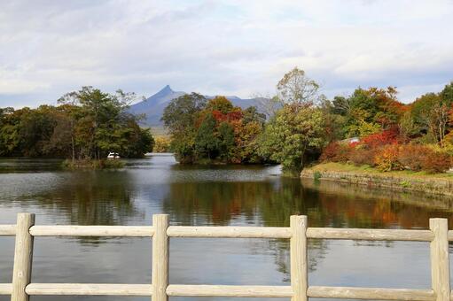 駒ヶ岳の手前の美しい大沼国定公園 風景,大沼国定公園,駒ヶ岳の写真素材