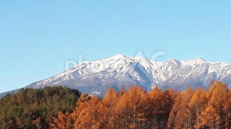 雪景色の御嶽山・信州から撮影 雪,山,風景の写真素材