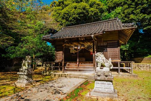 【鳥取】倉吉の土井神社 土井神社,鳥取,倉吉の写真素材