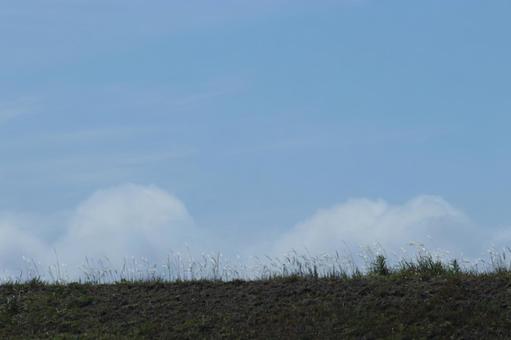 土手の上の青空 土手の上の青空の写真