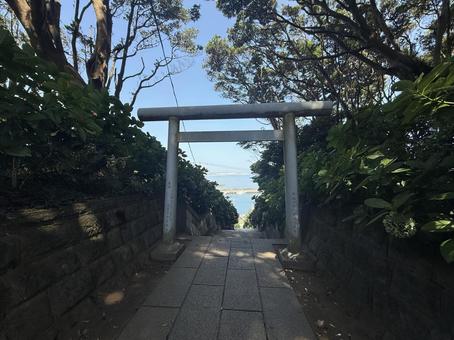 酒列磯前神社 鳥居 酒列磯前神社 鳥居の写真
