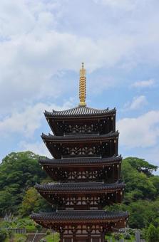 6月中旬の法然寺の五重塔とアジサイの花 6月中旬の法然寺の五重塔とアジサイの花の写真