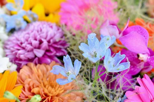 花手水 花手水,神社,手水舎の写真素材