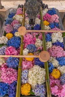 Colorful flower chozuya Colorful flower chozuya