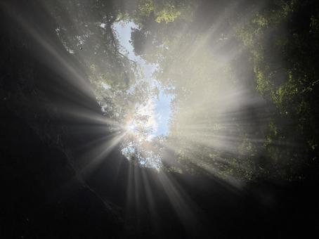 洞窟に差し込む光(新見市) 洞窟に差し込む光(新見市)の写真