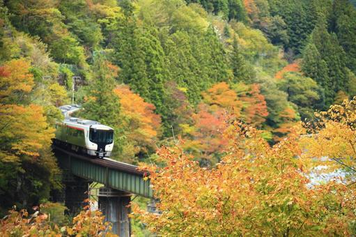 紅葉とワイドビューひだ 高山本線,紅葉,鉄橋の写真素材