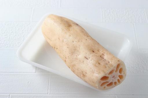 れんこん れんこんの写真