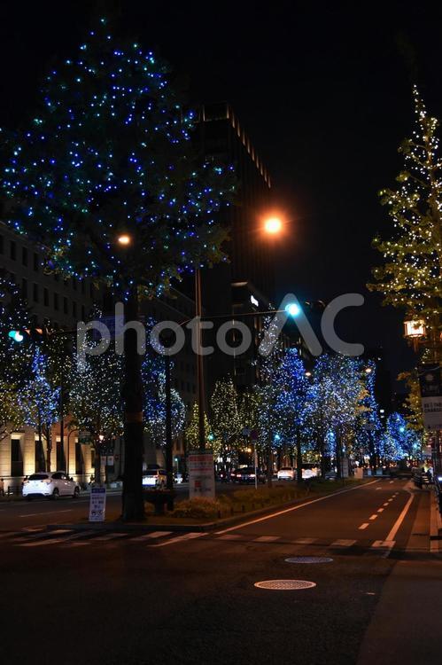2023御堂筋イルミネーション 御堂筋,イルミネーション,夜景の写真素材
