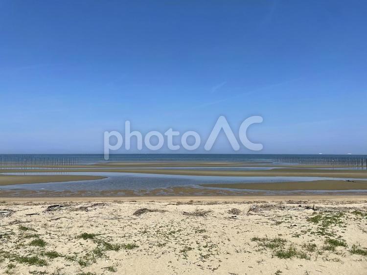 引き潮の海岸 干潮,引き潮,朝の海の写真素材