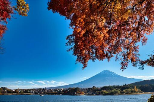河口湖の紅葉と富士山 空,富士山,風景の写真素材