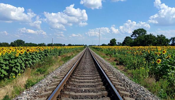 廃線 夏 廃線 夏の写真