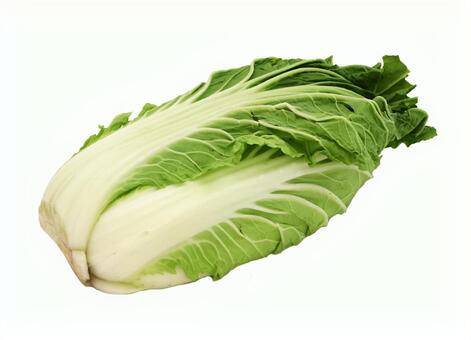 はくさいハーフ はくさい,野菜,鍋の写真素材