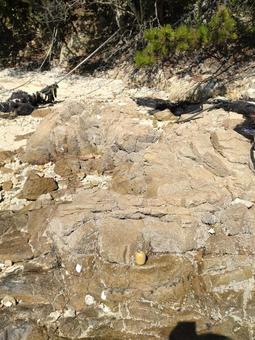 岩浜 岩浜 家島,兵庫県,姫路市の写真素材