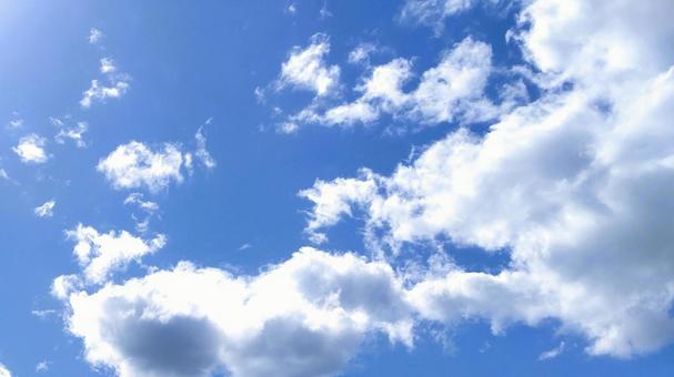 雲が浮かぶ夏の青空 雲が浮かぶ夏の青空 夏,空,青空の写真素材